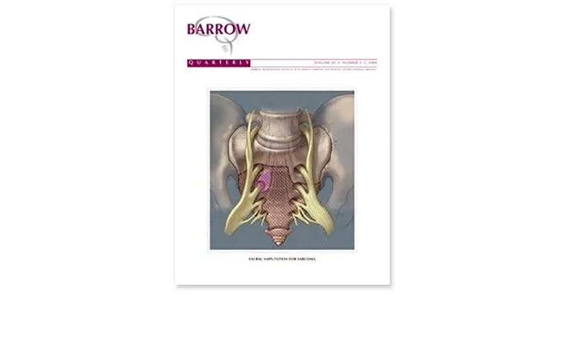 2004: Barrow Quarterly