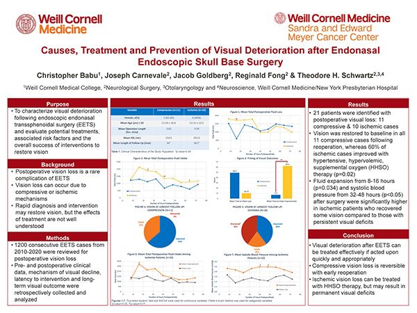 Causes, Treatment and Prevention of Visual Deterioration after Endonasal Endoscopic Skull Base Surgery