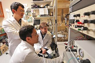 Epilepsy Research at Weill Cornell Medicine Neurosurgery Epilepsy Research at Weill Cornell Medicine Neurosurgery
