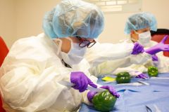 A student "operates" on a pepper.