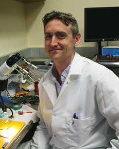 James Niemeyer, PhD, Weill Cornell Medicine Epilepsy Laboratory