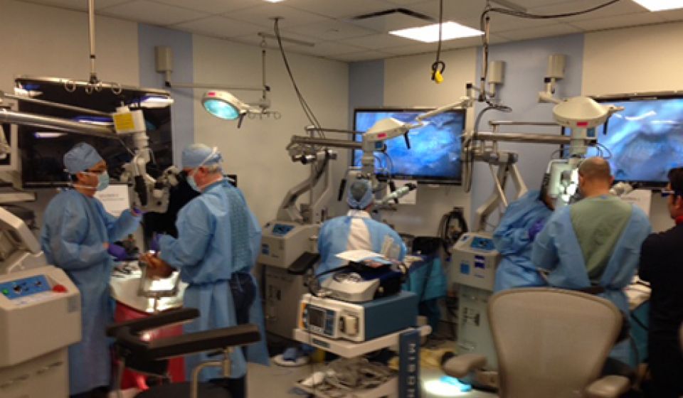 Weill Cornell Medicine Neurosurgery Skull Base Course Photos