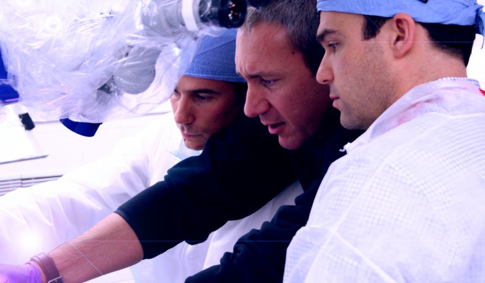 Weill Cornell Medicine Neurosurgery Skull Base Course Photos