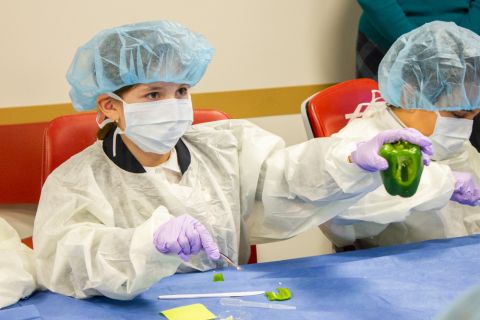 The Earliest Mentorship: Fifth Graders Learn About Medicine
