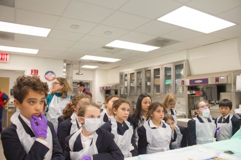 The Earliest Mentorship: Fifth Graders Learn About Medicine